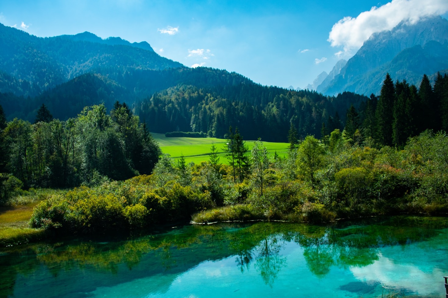 Les fondements essentiels de la loi naturelle